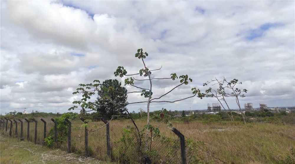 Terreno à venda, 17000m² - Foto 11