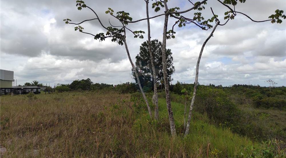 Terreno à venda, 17000m² - Foto 6
