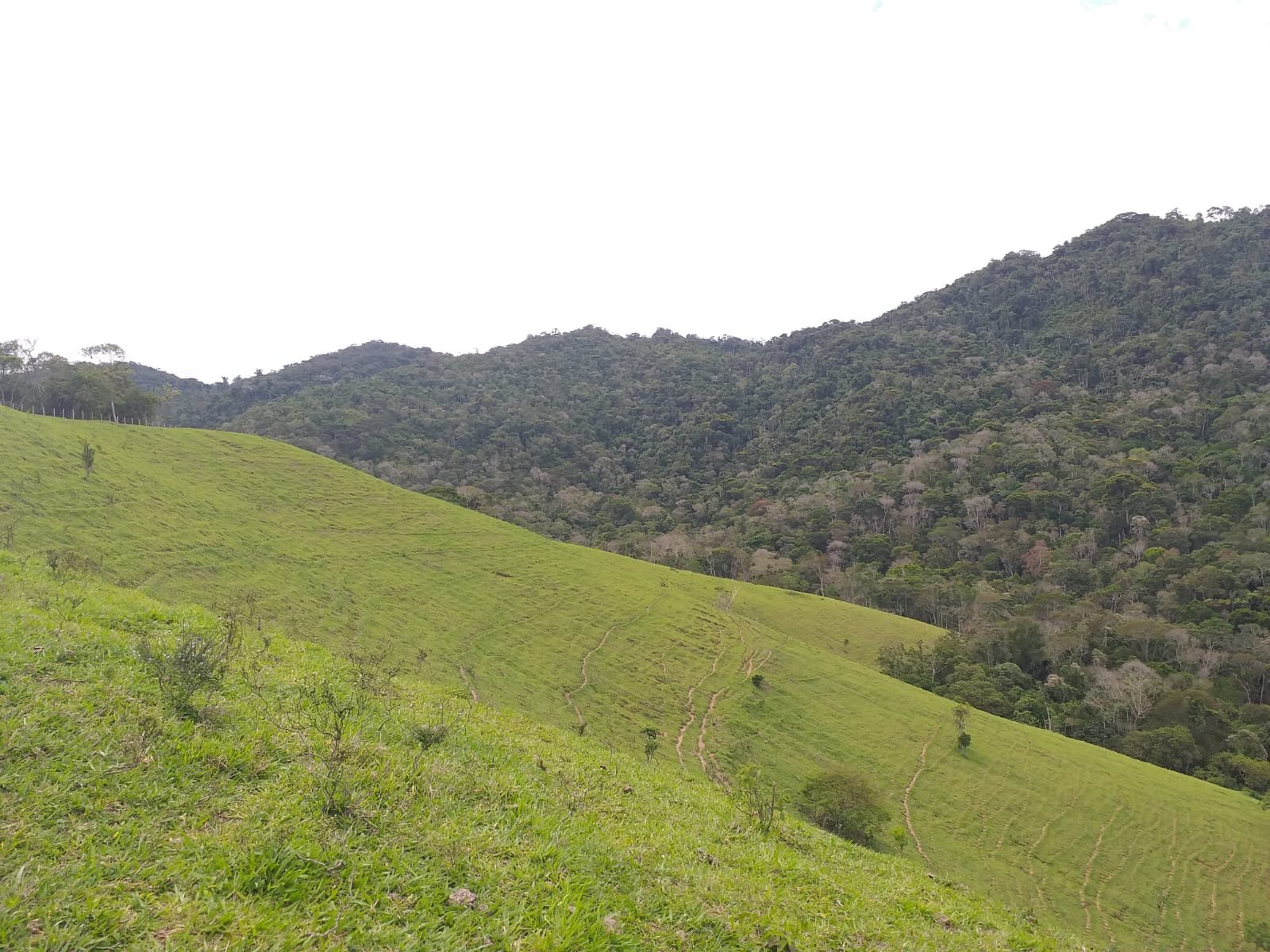 Fazenda à venda com 8 quartos, 9790000m² - Foto 10