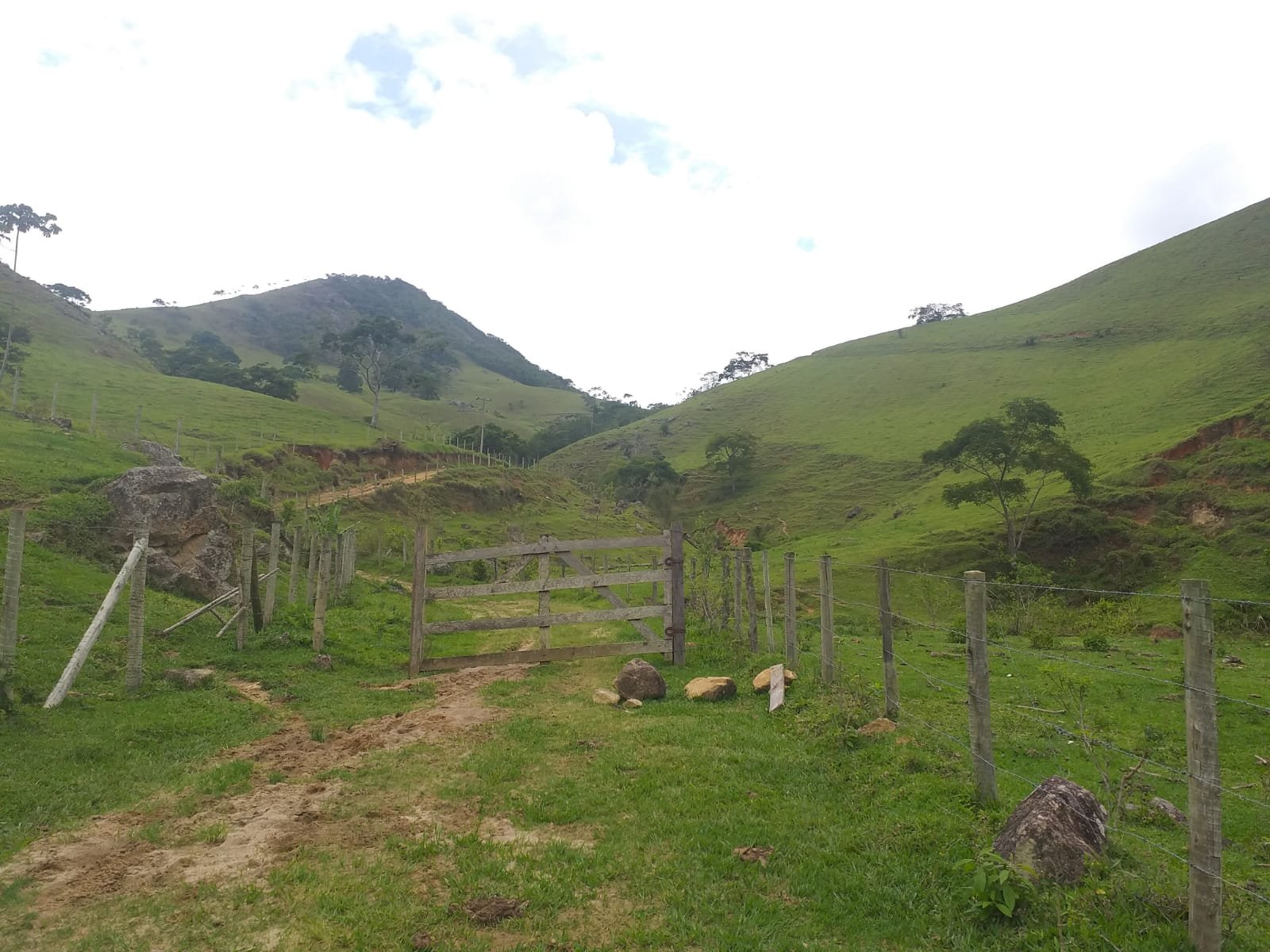 Fazenda à venda com 8 quartos, 9790000m² - Foto 30