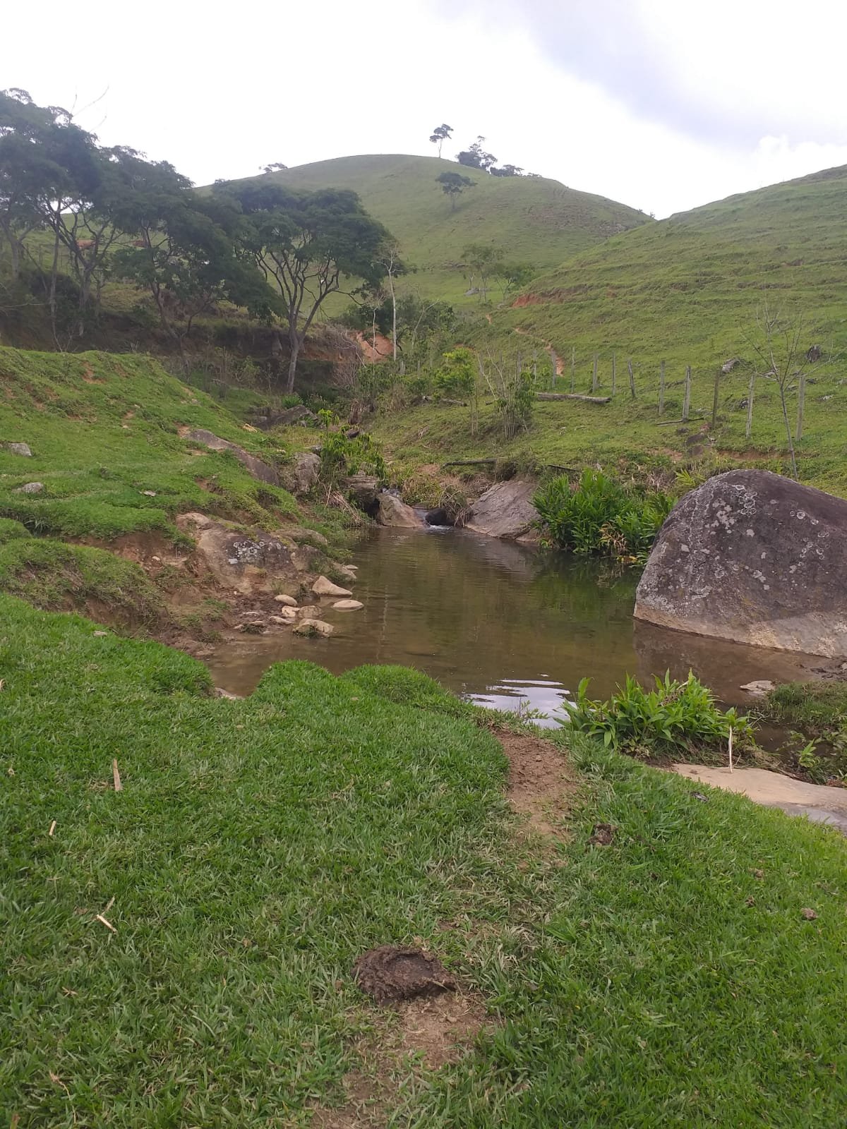 Fazenda à venda com 8 quartos, 9790000m² - Foto 3