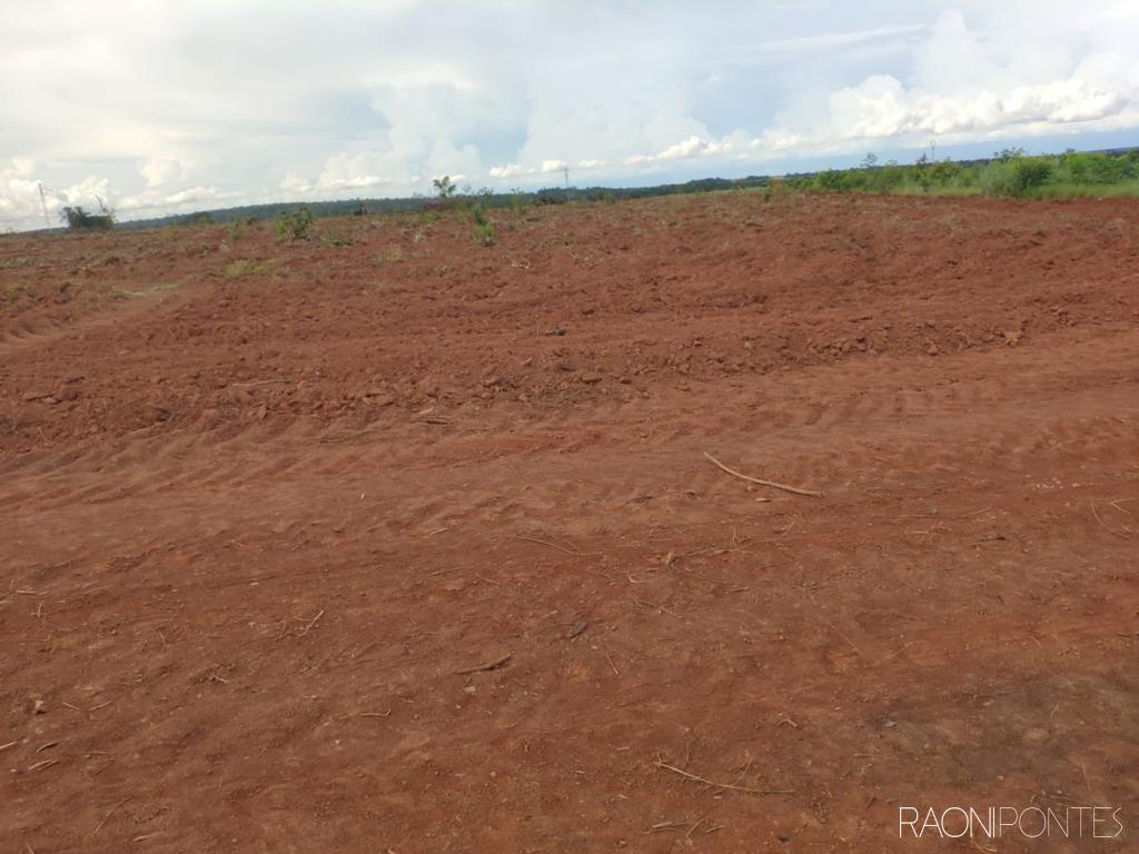 Fazenda à venda com 30 quartos, 10260000m² - Foto 9