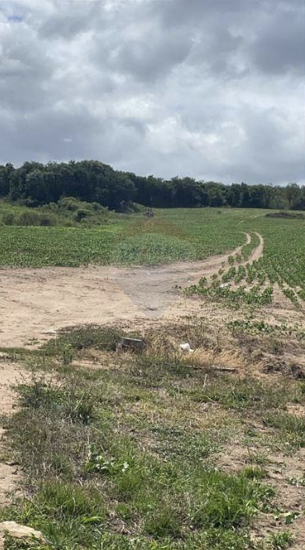 Fazenda à venda com 8 quartos, 825000m² - Foto 10