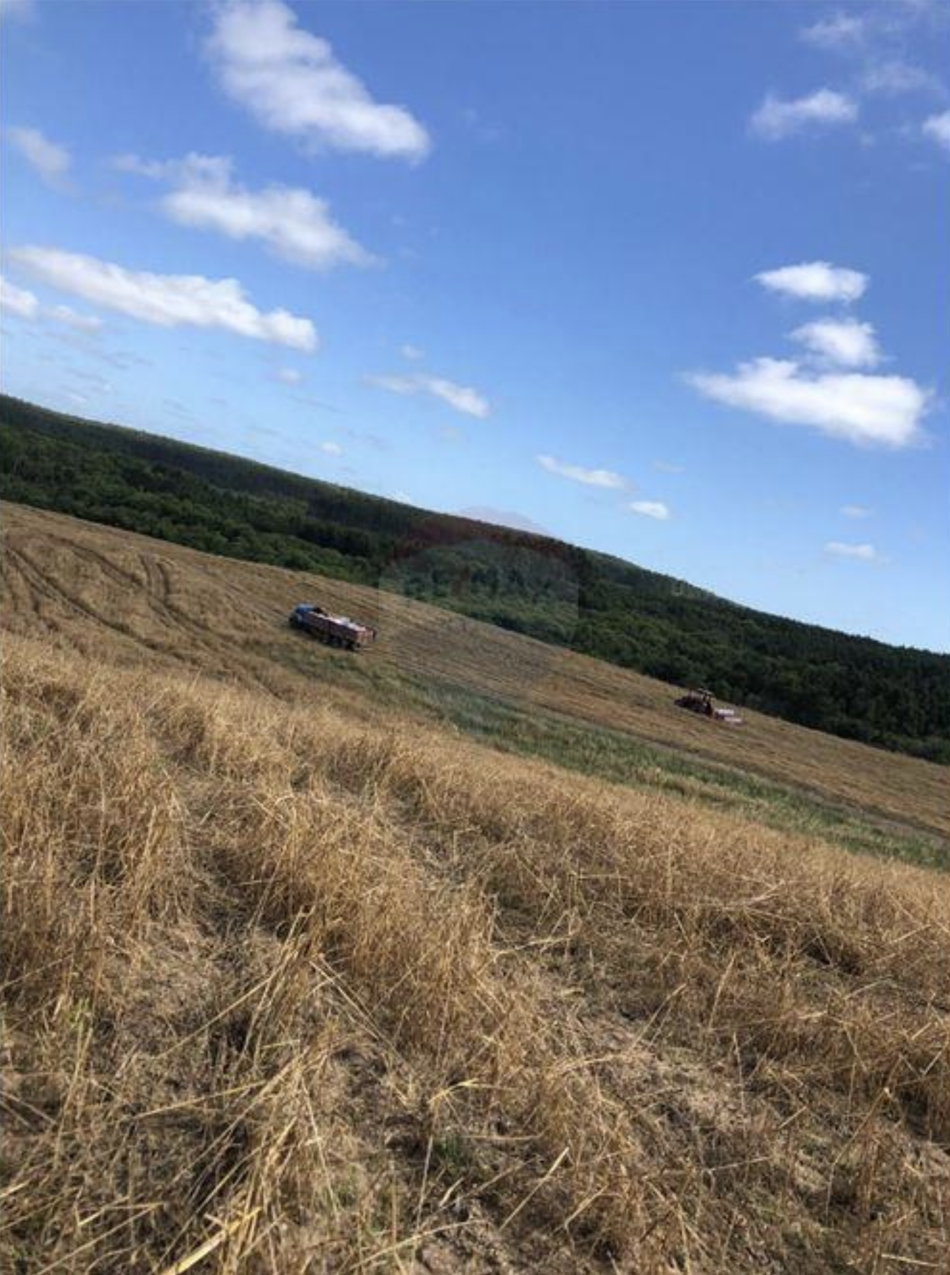 Fazenda à venda com 8 quartos, 825000m² - Foto 7