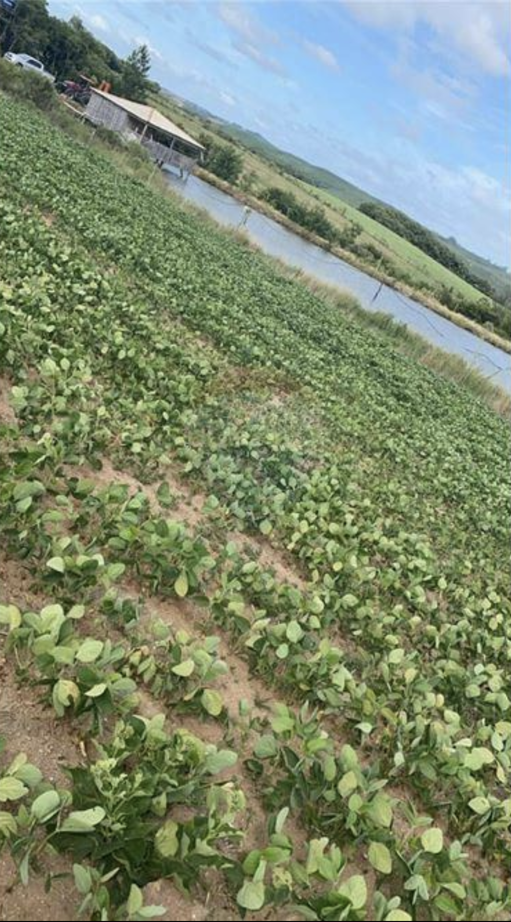 Fazenda à venda com 8 quartos, 825000m² - Foto 9