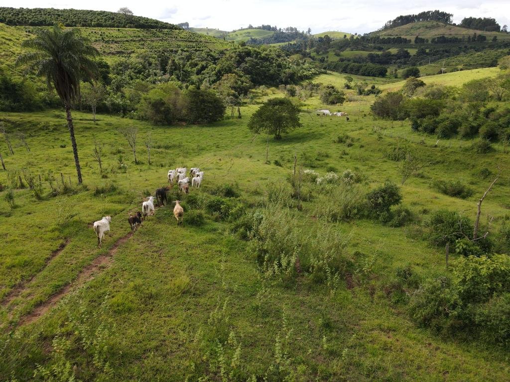 Fazenda à venda com 8 quartos, 4300000m² - Foto 10
