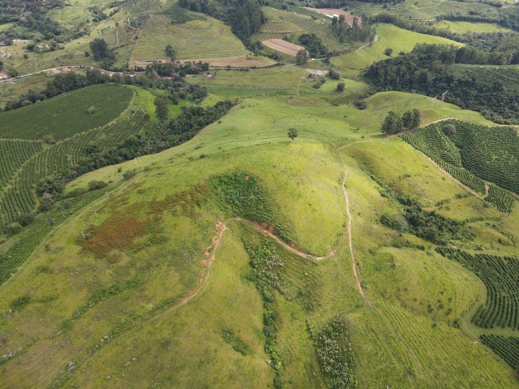 Fazenda à venda com 8 quartos, 4300000m² - Foto 18