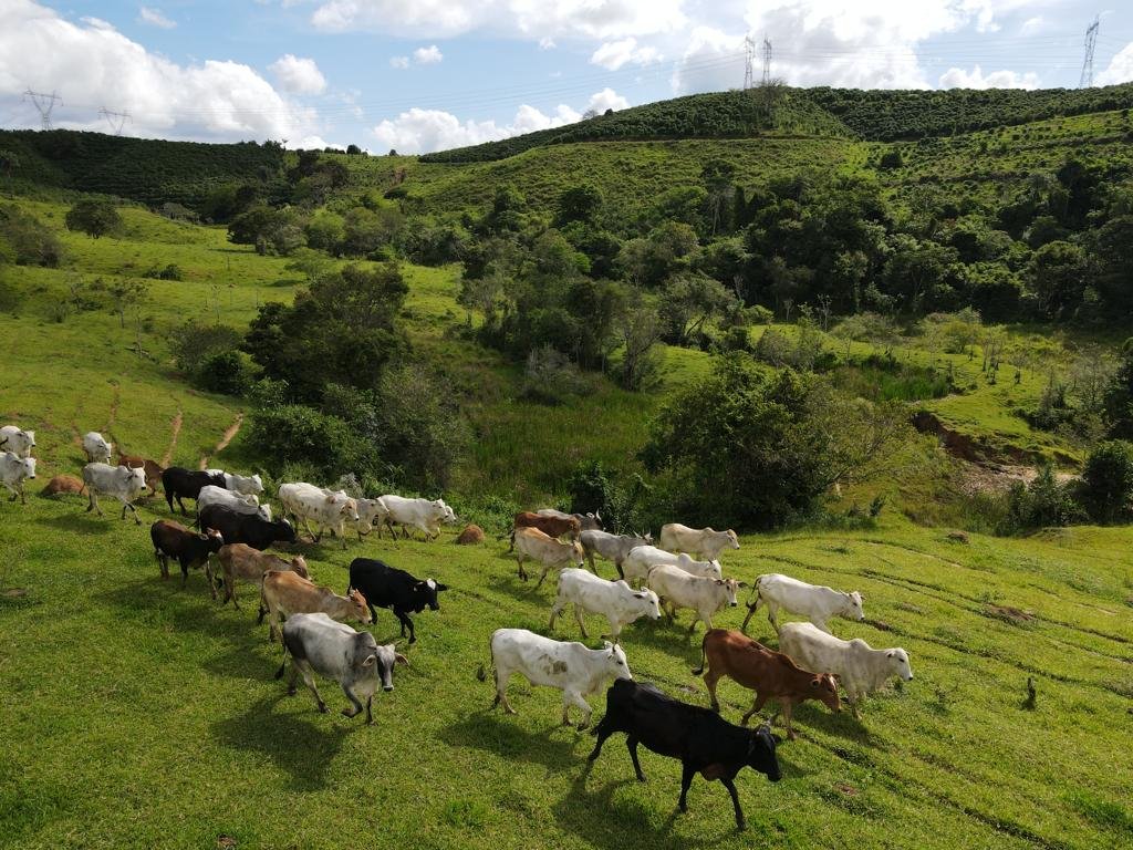 Fazenda à venda com 8 quartos, 4300000m² - Foto 3